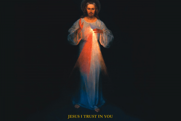 The Luminous Mysteries: Divine Mercy Meditations | Catholic Truth Society